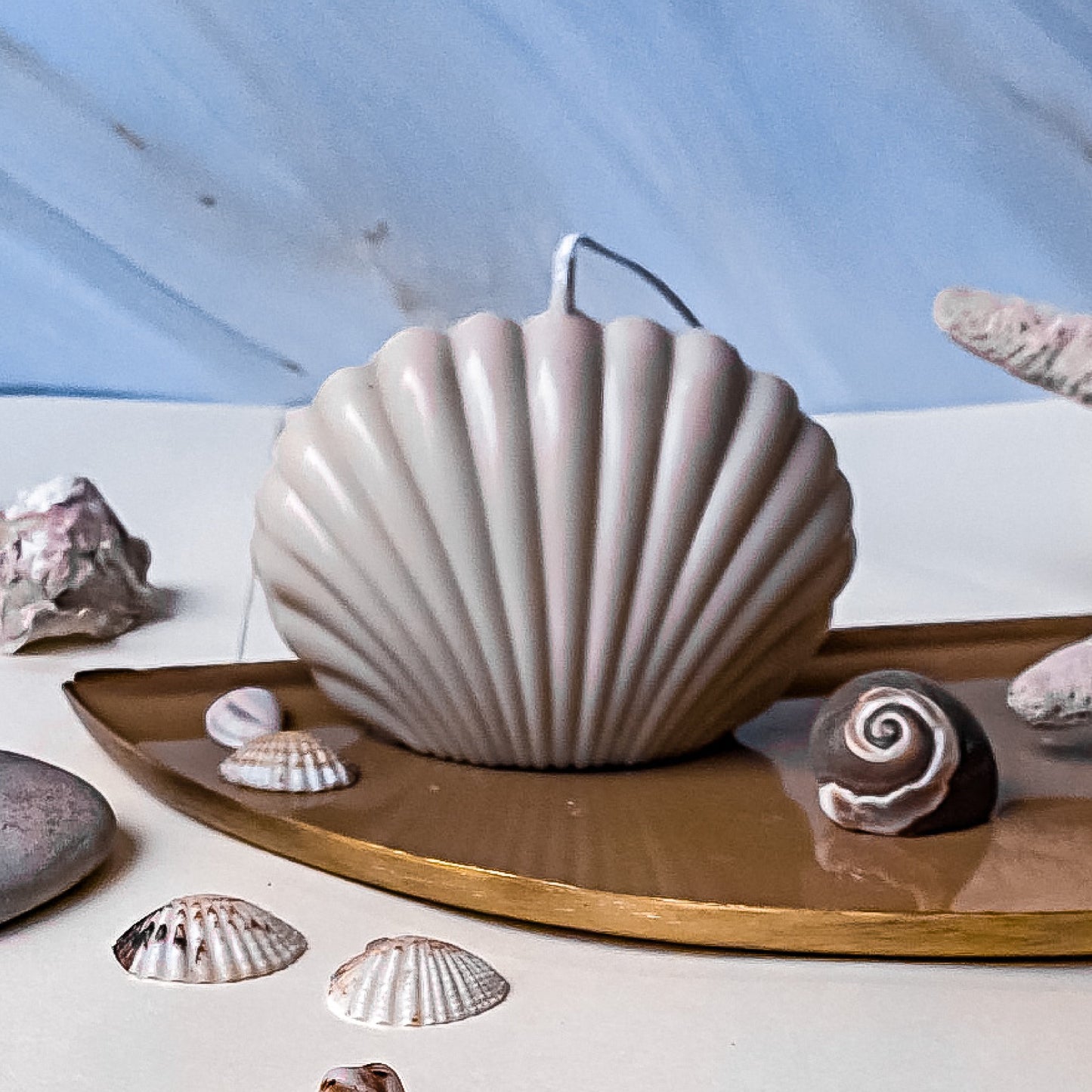 SeaShell