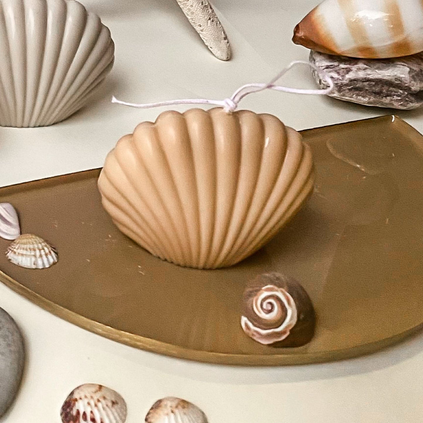 Mini SeaShell