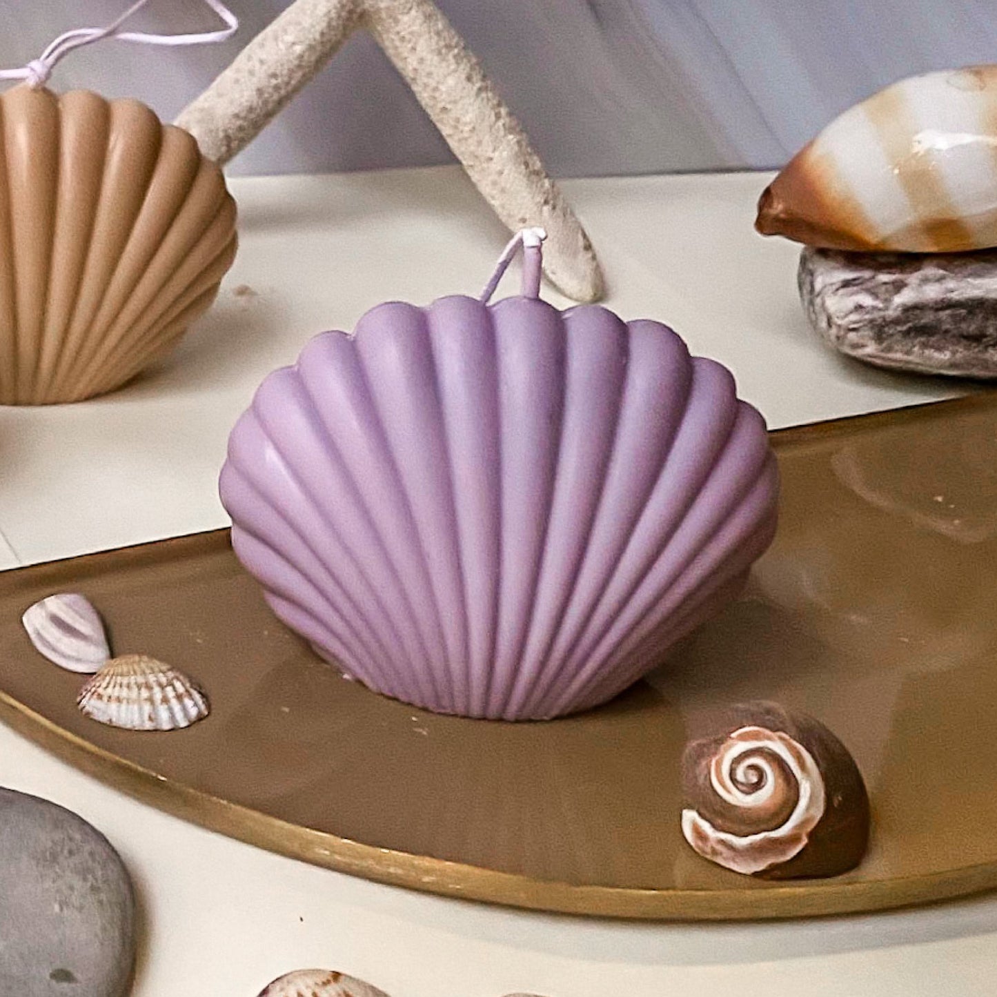 Mini SeaShell