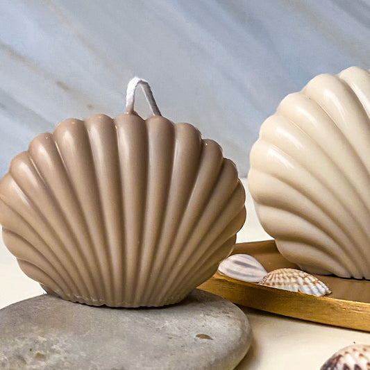 Mini SeaShell