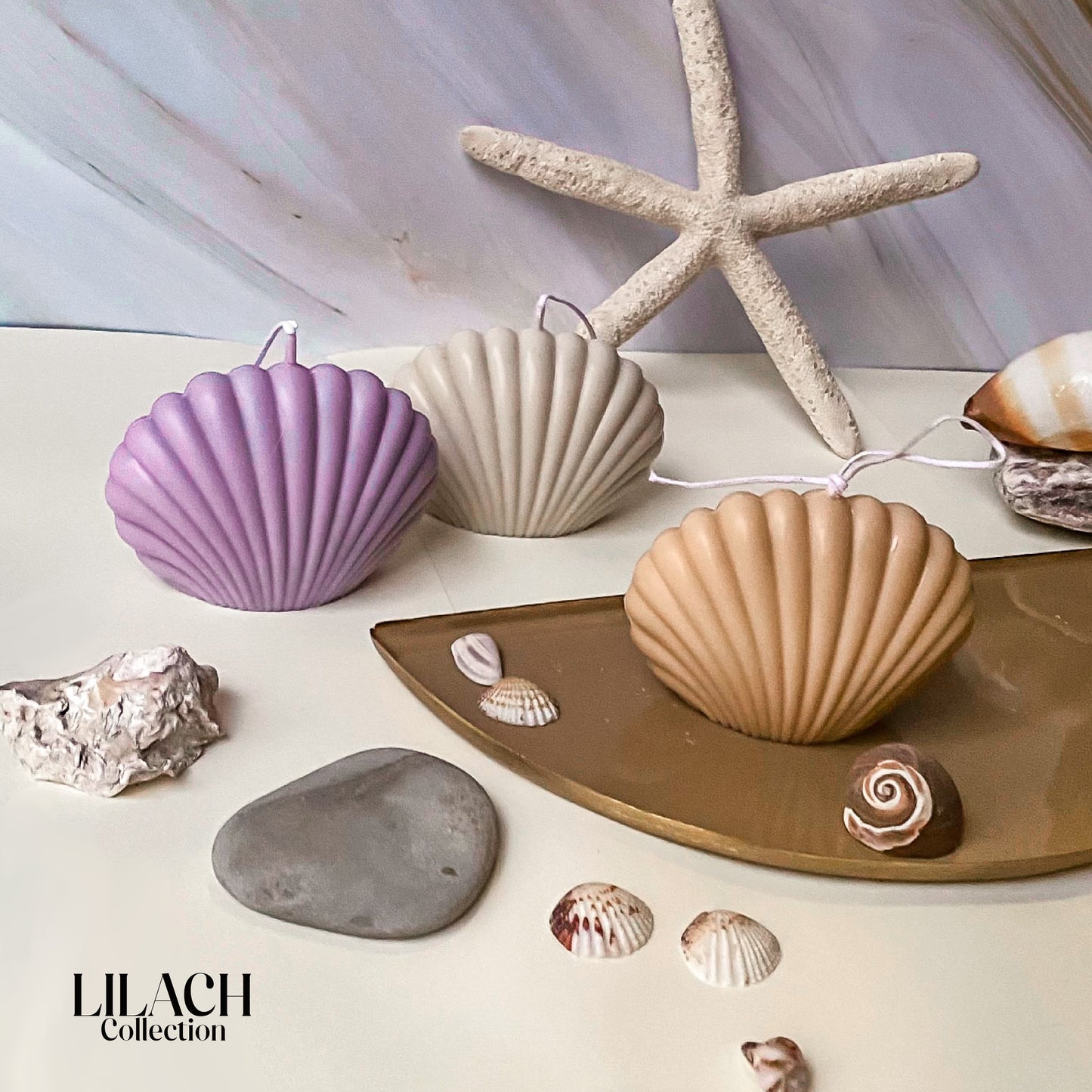 Mini SeaShell